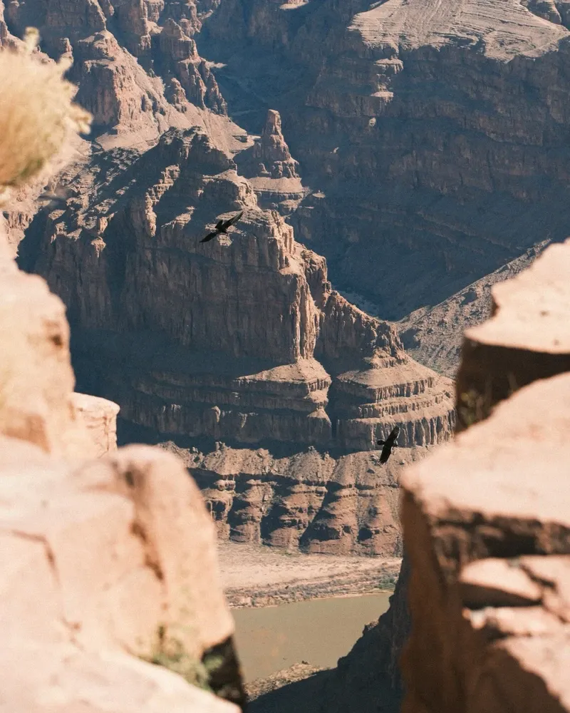 Grand Canyon view 4